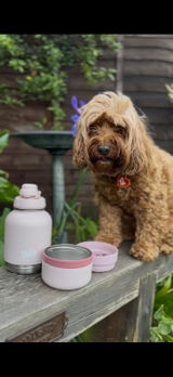 Junedensley review photo