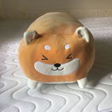 Sam review photo