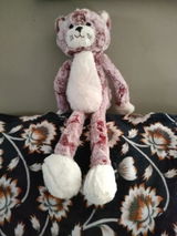 Cate Wile review photo