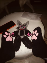 Crystal Lounsbury review photo