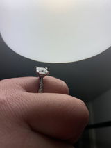 Alexandrea review photo