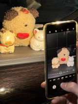 Iris review photo
