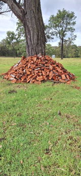 Peter Moore review photo