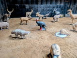 RMSpeltz Farm review photo