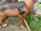 Richard Mabry review photo