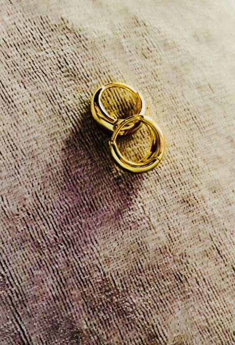 14 K Gold Plated earrings