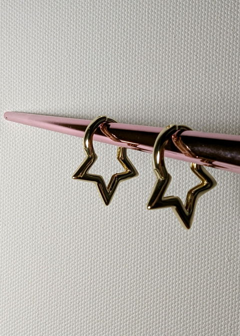 14 K Gold Plated earrings