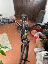 massimo favilla review photo