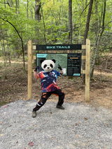 Scott Harju review photo