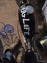User picture