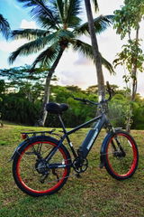 Electric Bike Rental