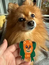 User picture