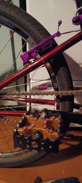 Evan Tench review photo