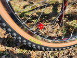 Kenneth Deming review photo