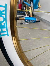 Gen X BMX review photo
