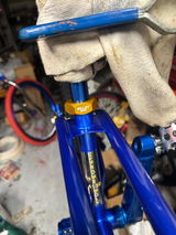 Mark B review photo