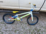 Bradley Leinen review photo
