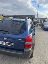 Avram review photo