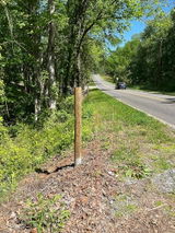 John T review photo