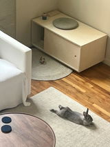 Alexa review photo