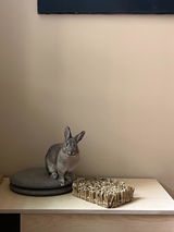 Alexa review photo