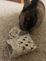 Bun Bun review photo