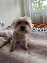 Илиана Кърпачева Кърпачева review photo