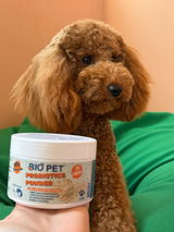 Tobby review photo