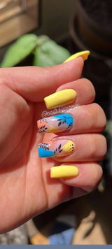 Jazmin Rodriguez Hernandez review photo