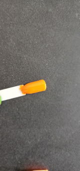Vidya Rodney review photo