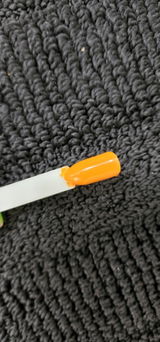 Vidya Rodney review photo
