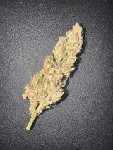 Ganjacob review photo