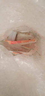 Olaf Hammerich review photo