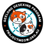Project Meow Geelong - Kitten Nursery - Lisa review photo