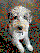 M.C. review photo