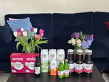 Haniqa review photo