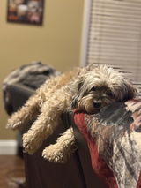 Cooper review photo