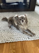 Derika O. review photo