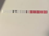 Taylor S. review photo