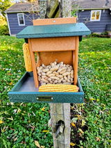 Sue Dupre review photo