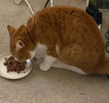 Surprise! Tuna and Olives Is A Winner! review photo
