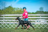 Douglas Matson, Kansa Dobermans review photo