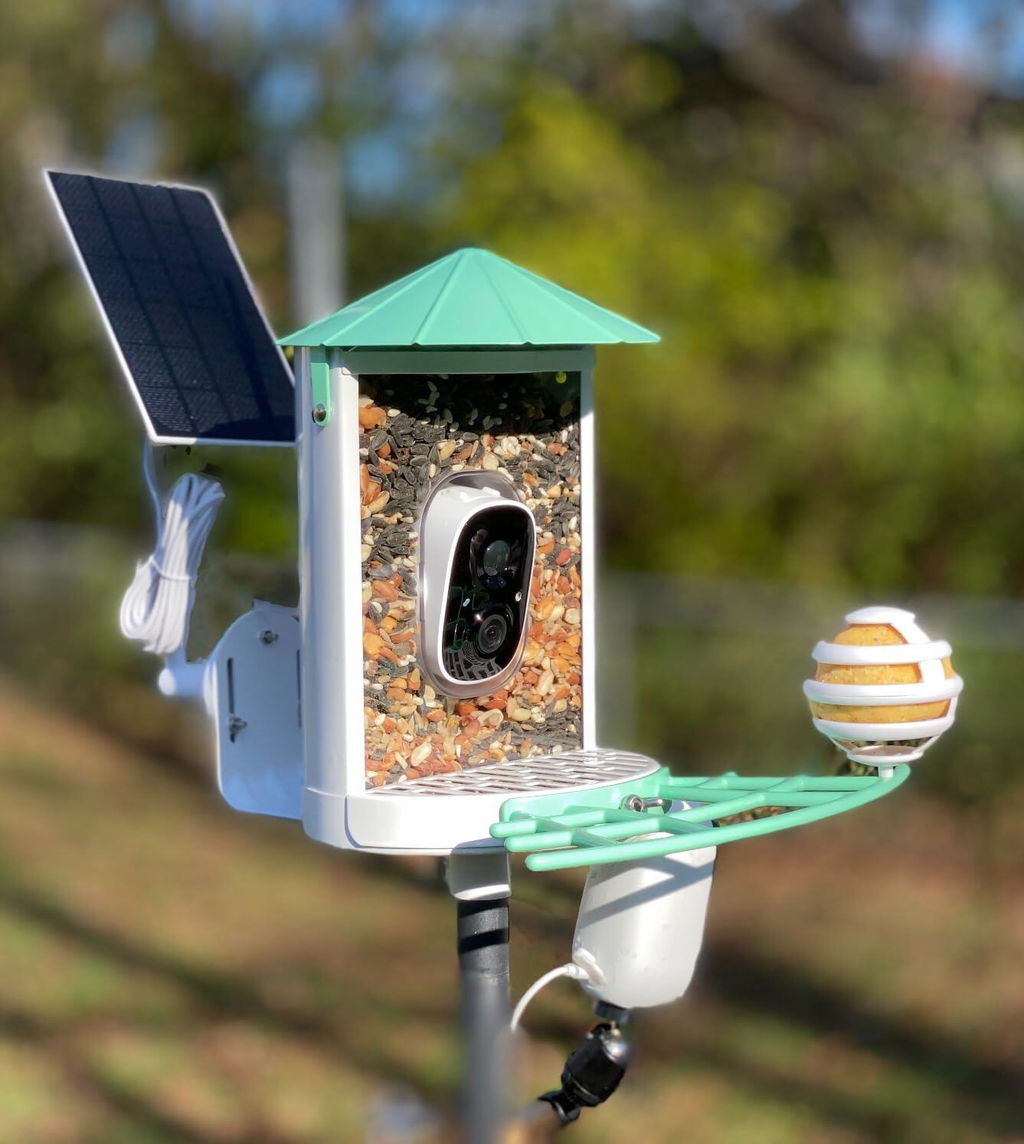 AI Smart Solar Bird Feeder with Squirrel-Proof