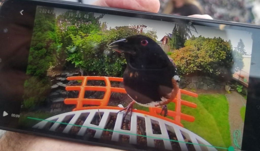 AI Smart Solar Bird Feeder with Squirrel-Proof