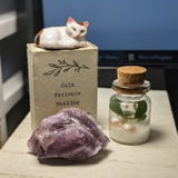 Casey H. review photo