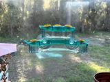 BD602 Window Hummingbird Feeder
