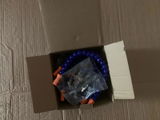 Adi Grosu review photo