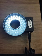 Laura Dima review photo