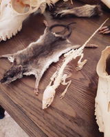 Heart Of Bones Emmerich review photo