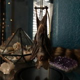 Brittany Pollich review photo